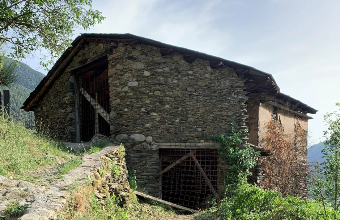 El que queda del colomer de Cotxa, avui. 