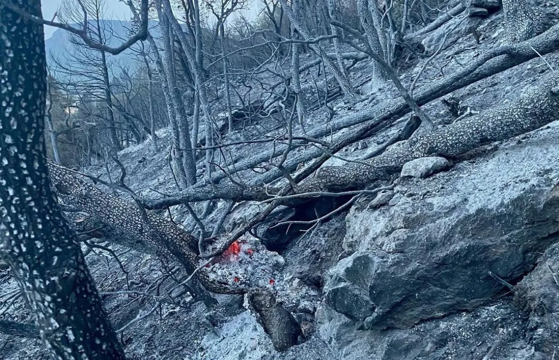 Brasers, dimarts a la tarda, abans de les pluges, a la zona calcinada per un incendi iniciat diumenge a la tarda al Roc de Rombau. 