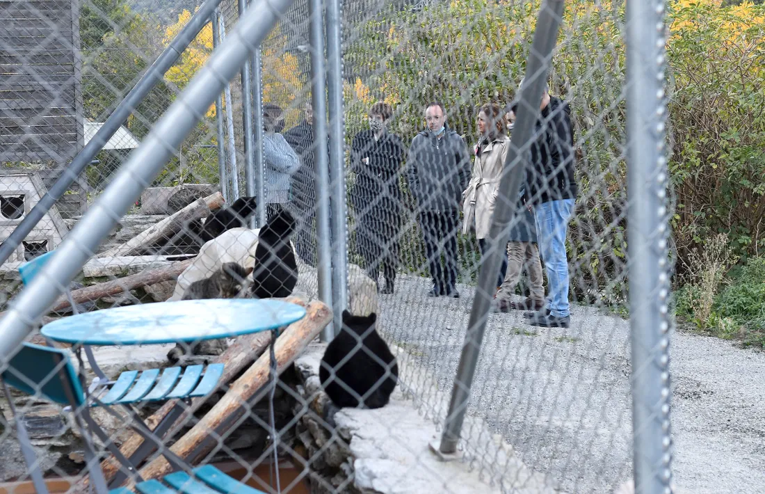 Les instal·lacions de la gatera oficial.