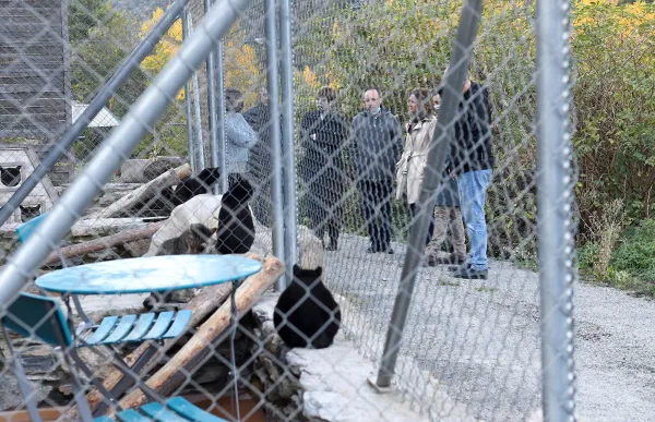 51634177852_55d66a1af6_o