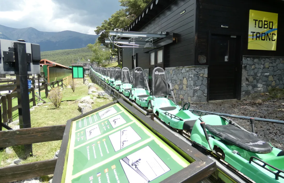 Una imatge del tobotronc.