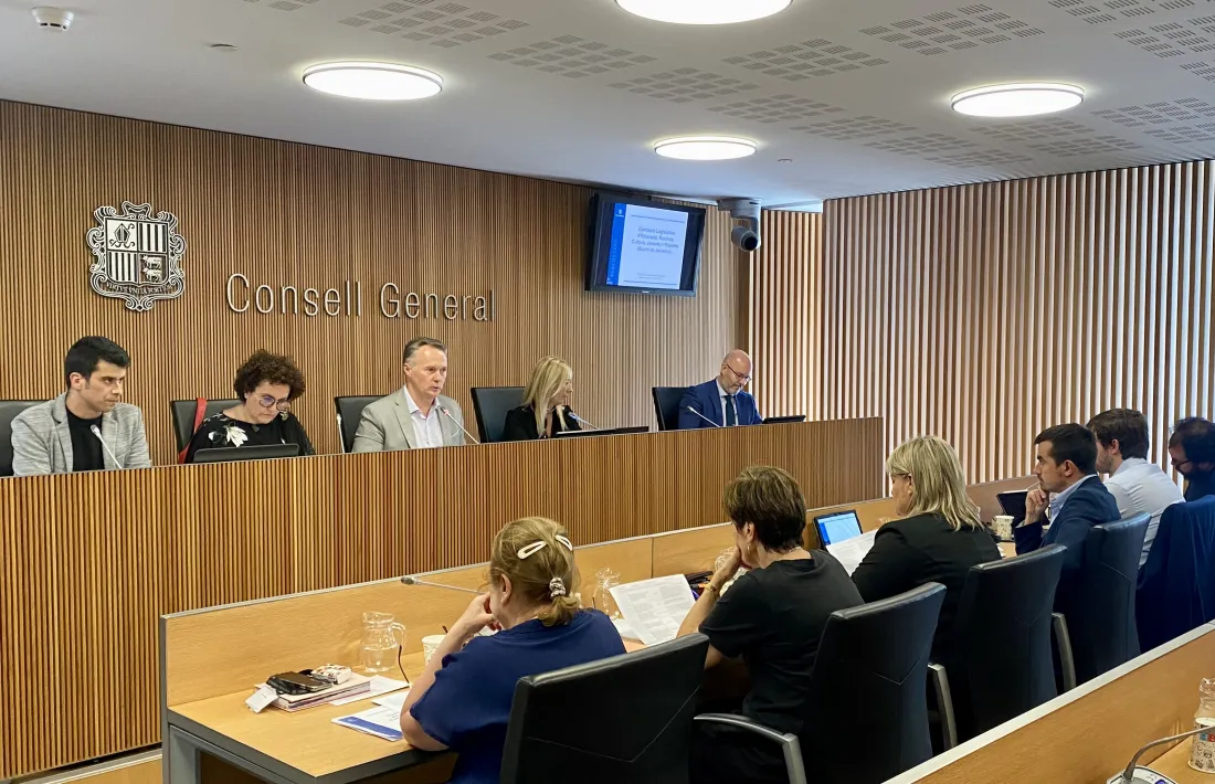 Un moment de la compareixença de la ministra Judith Pallarés a la comissió legilativa, aquesta tarda.