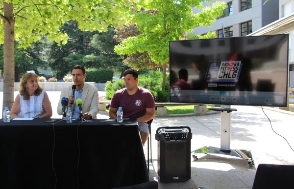 p._12_1._escaldes_-_agencies