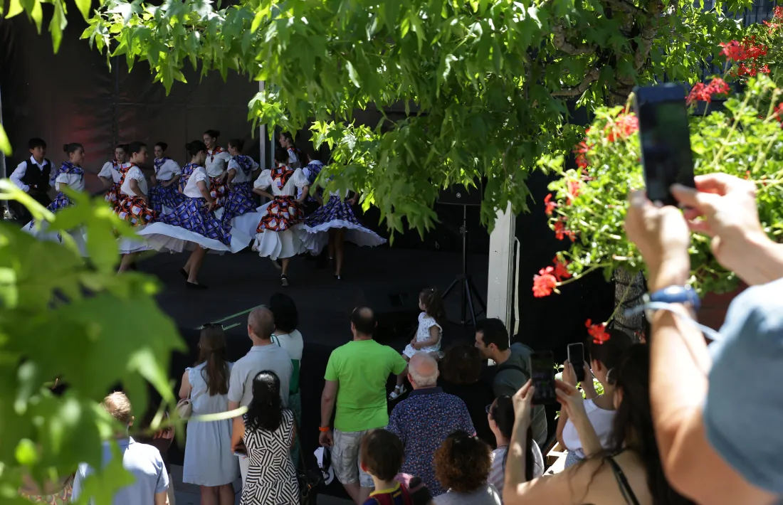 Un instant de la ballada de l'Esbart de les Valls del Nord.