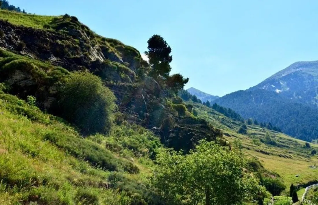 L'estat en què es trobava aquest migdia la zona afectada.