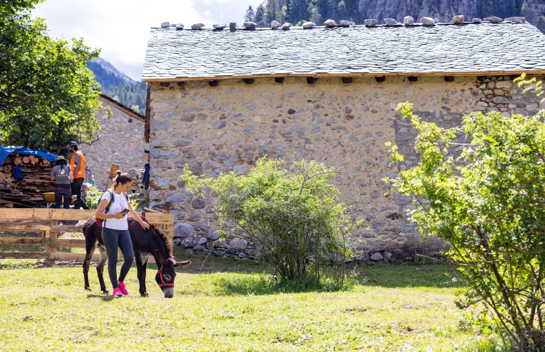 Un dels rucs que acompanyarà als visitants de la vall del Madriu.