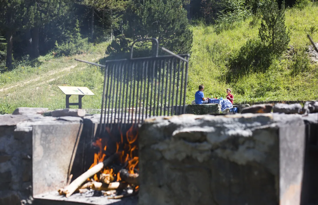 Una barbacoa en una zona de berenadors a Ordino.