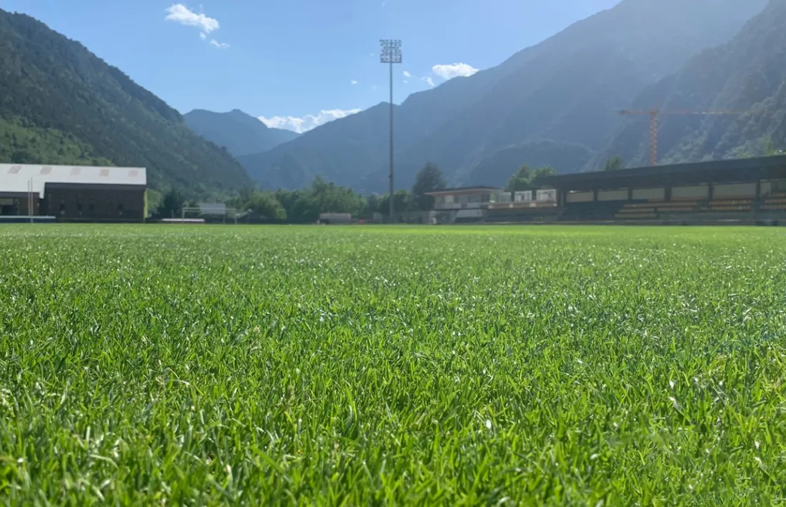 La gespa natural de l’estadi presentava divendres aquest estat.