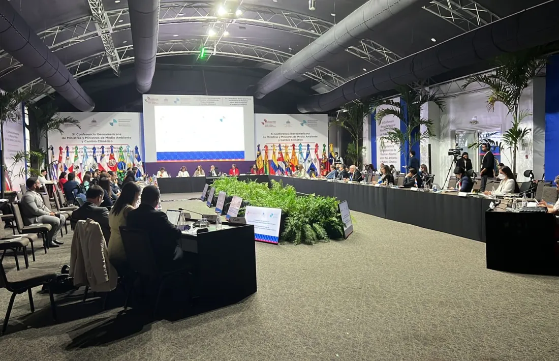 La trobada se celebra 