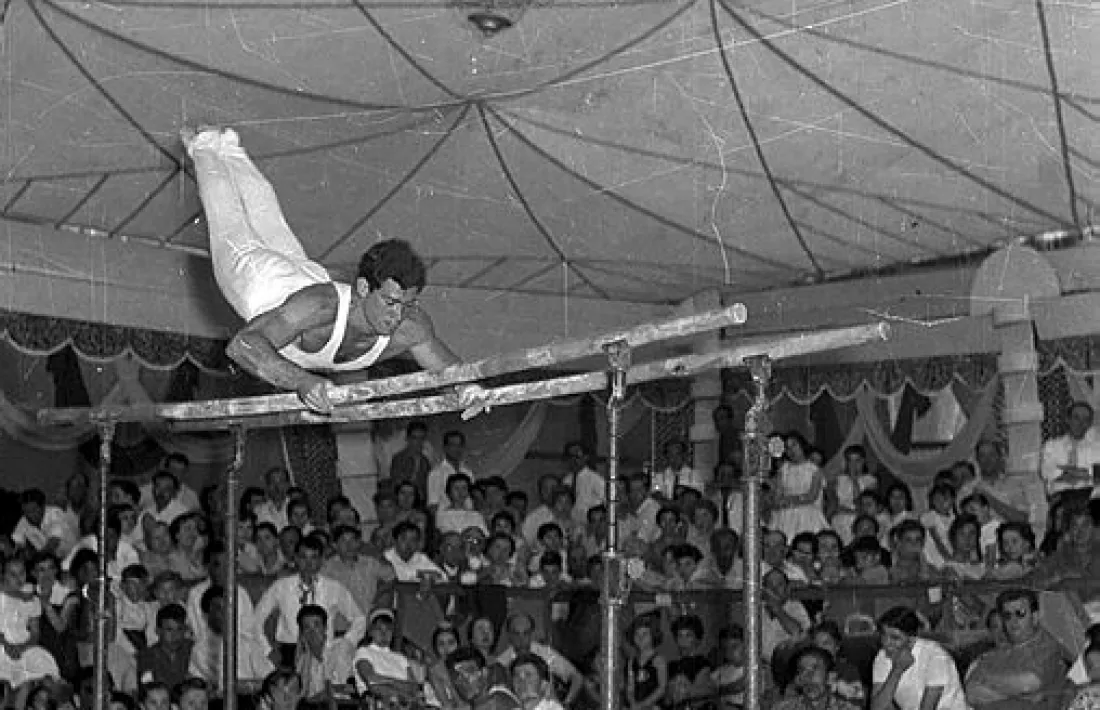 Blume, a les paral·leles.