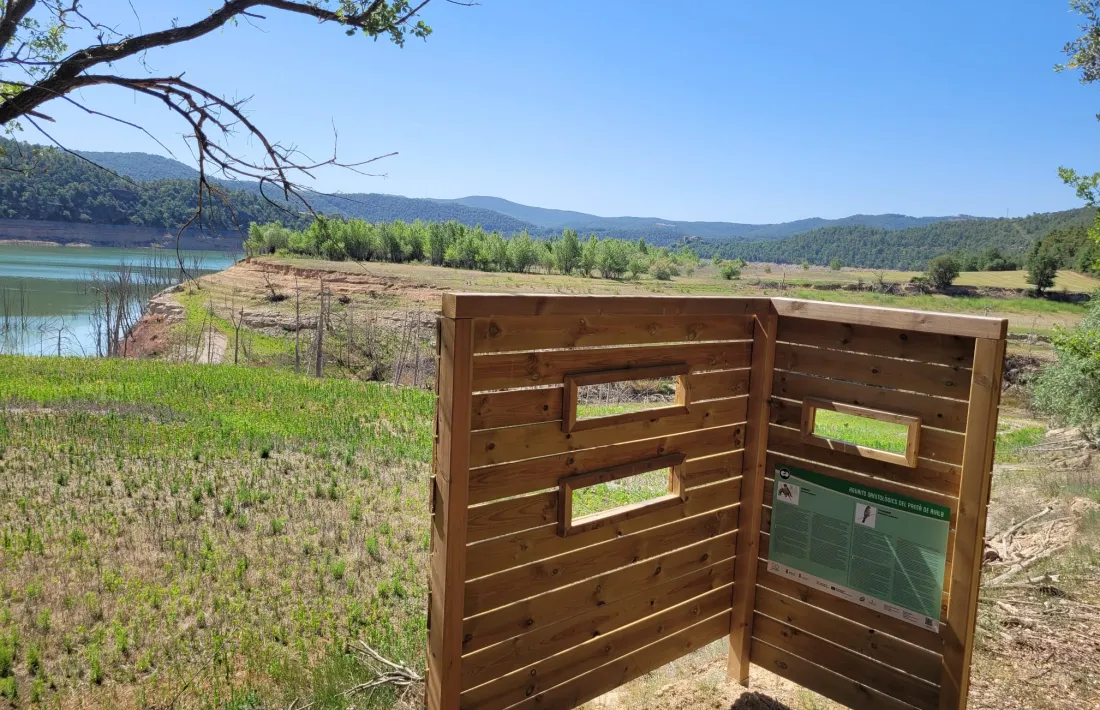 Aguait ornitològic al pantà de Rialb.