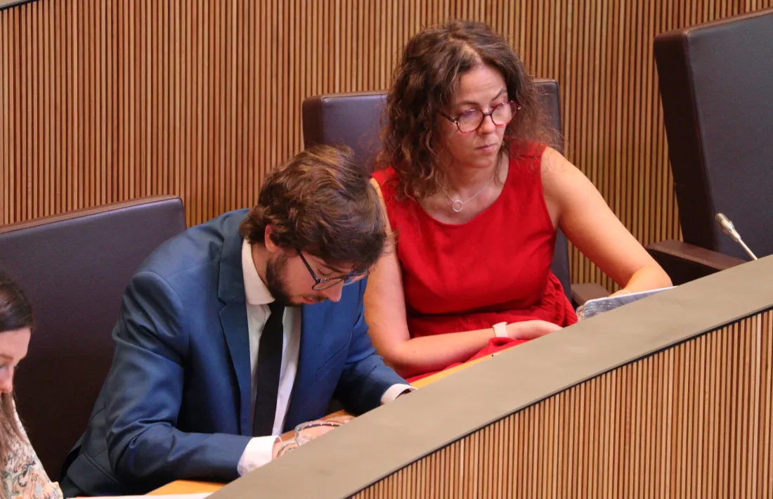 La presidenta suplent del grup socialdemòcrata, Judith Salazar, ha defensat les reserves d’esmena i el posicionament sobre el text.