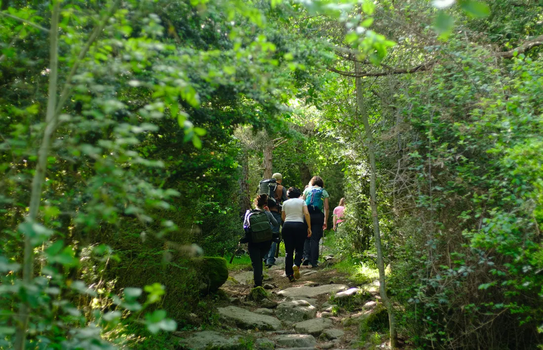 El nou itinerari està especialment pensat per a grups.