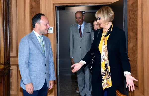 p._08_2._espot_-_sfga