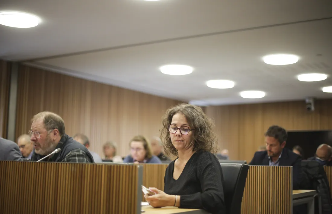 Jordi Font, Judith Salazar i Pere López, en una de les sessions de la comissió per la reforma de les pensions.