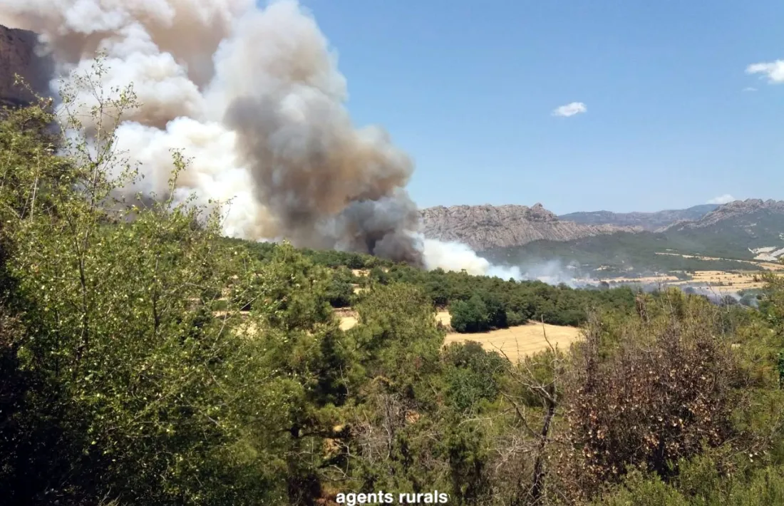 El foc es va enfilar pel Rombau en l'incendi del passat mes de juny.
