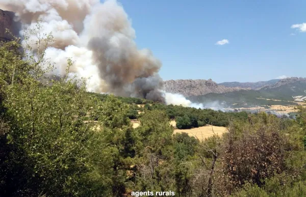 incendio_agents_rurals_0