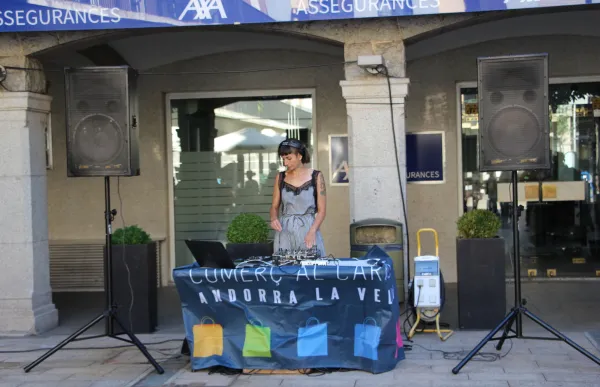 p._08_1._concentric_-_agencies