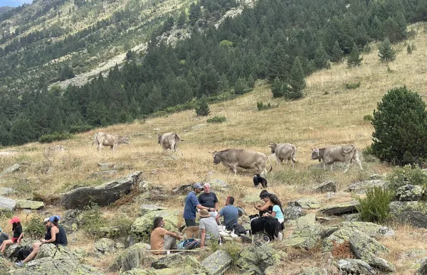 p._07_bendicio_bestiar_-_bc