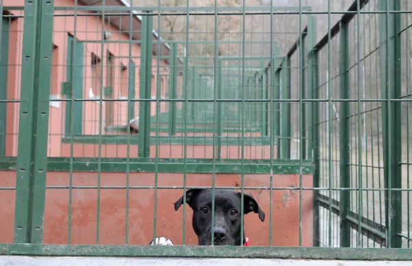 49379824846_6b2953e759_o