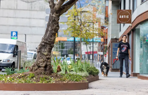 p._08-2_enjardinament_comuescaldes