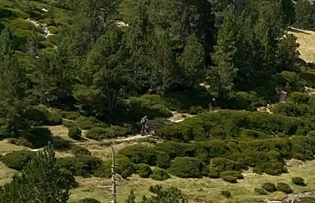La moto de trial que va captar la cònsol escaldenca al costat de l’estany de la Nou.