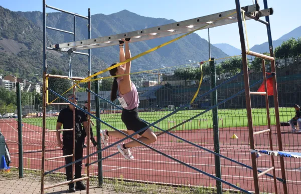 p._08_2_proves_agents_poli_agen_mf