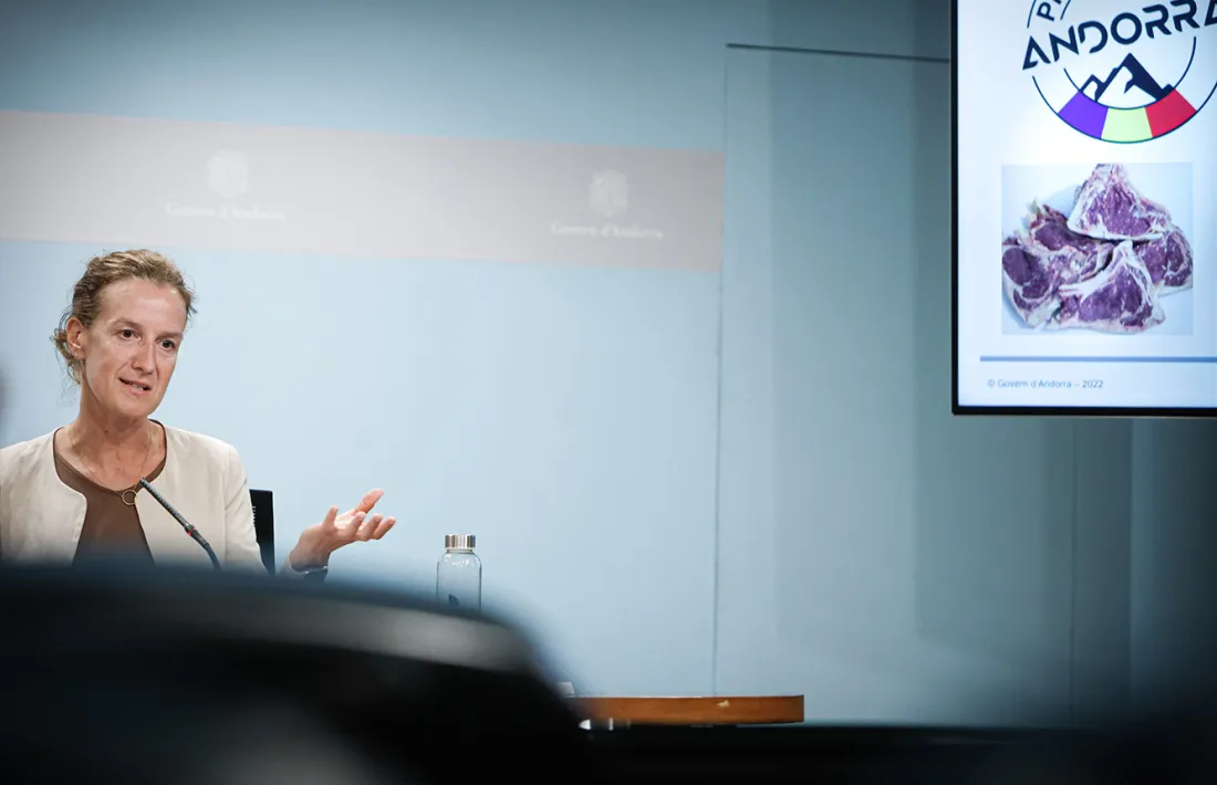 Calvó ha explicat aquesta tarda el nou reglament.