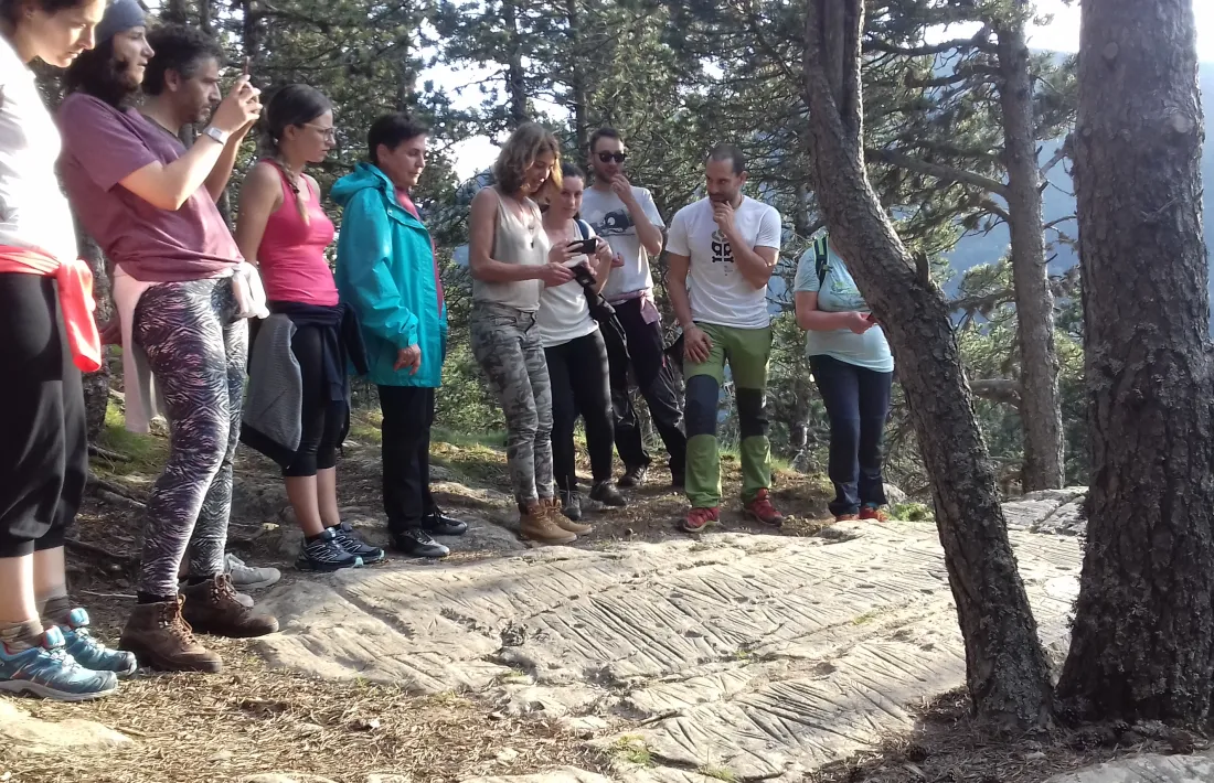 Remolins, amb una visita guiada al conjunt rupestre.