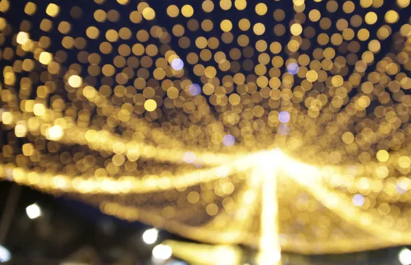 p._09_llum_nadal_-_facundo_santana