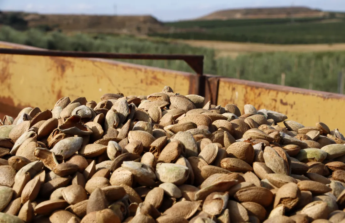 Els aliments s'han encarit en general. 