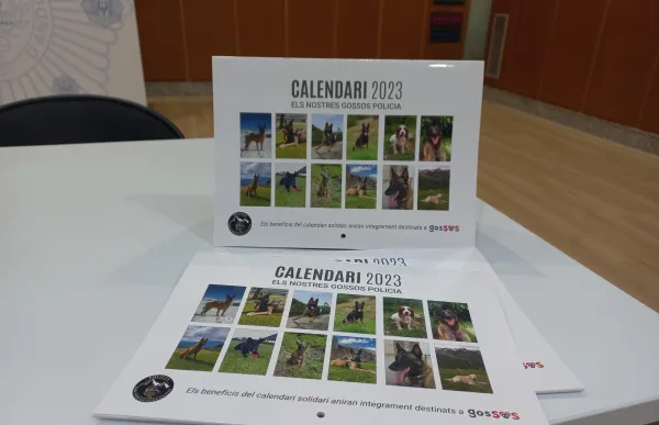 whatsapp_image_2022-09-15_at_11.58.57_1