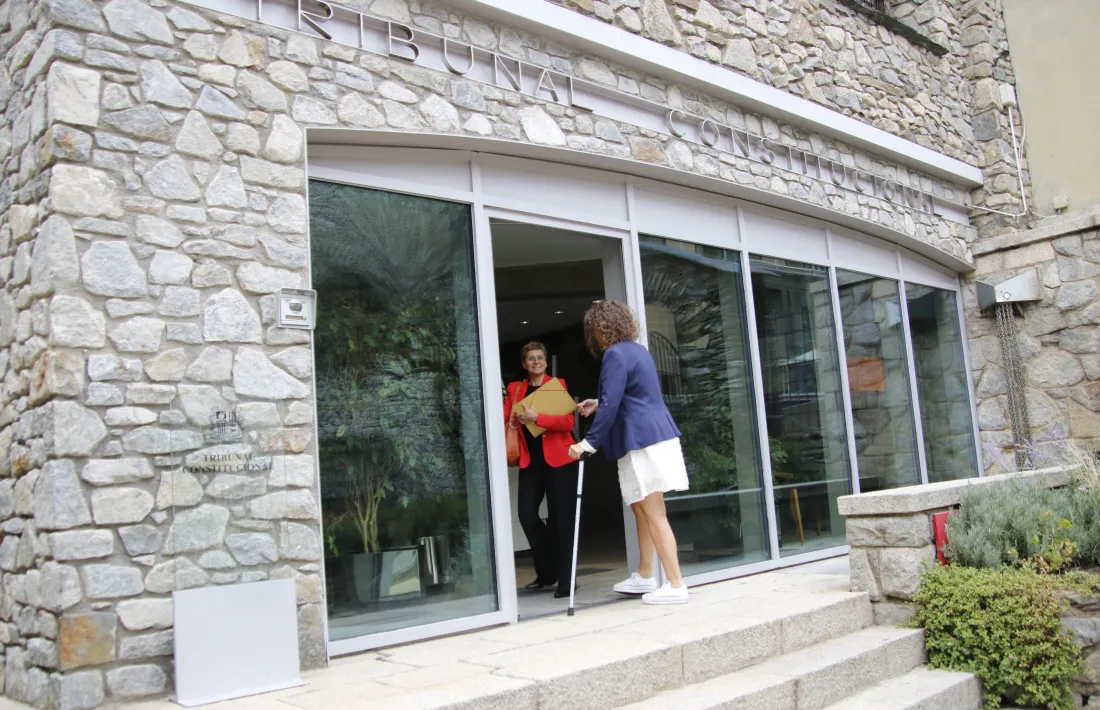 Les conselleres generals socialdemòcrates Susanna Vela i Judith Salazar van entrar dimecres el recurs al Tribunal Constitucional.