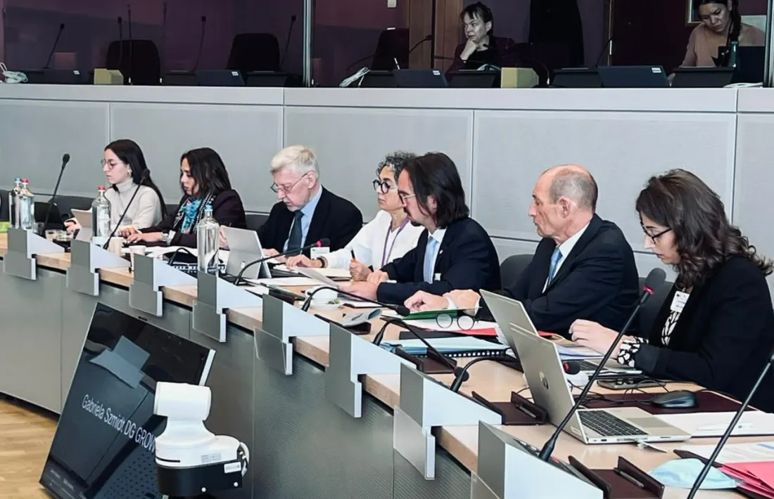 Un instant de la reunió que s'ha celebrat avui en què el secretari d'Estat d'Afers Europeus, Landry Riba, ha participat presencialment.