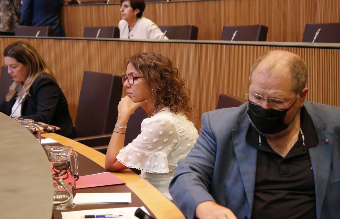 La presidenta suplent del grup parlamentari socialdemòcrata, Judith Salazar.