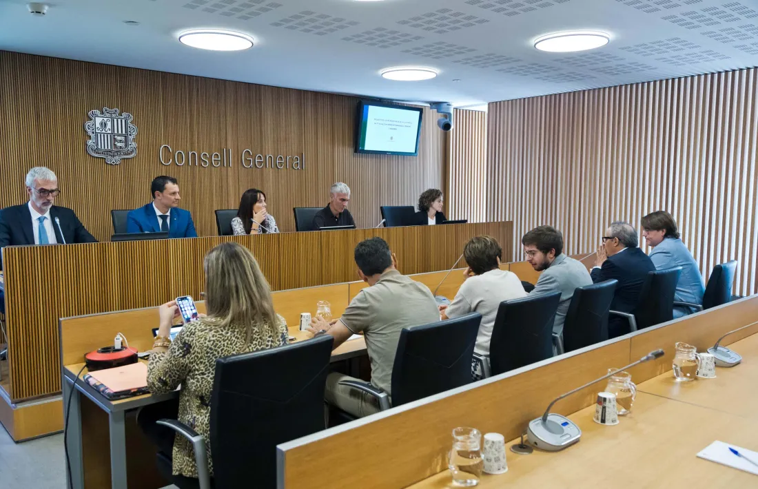 El ministre de Presidència, Economia i Empresa, Jordi Gallardo, ha comparegut avui novament davant la comissió d’Economia.