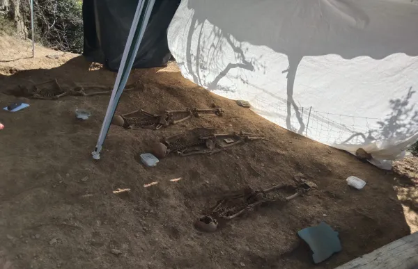 p._12_1_pirineus_fosses_copia_0