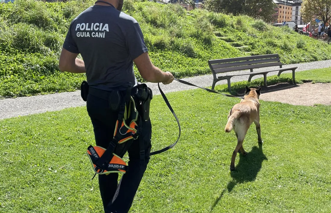 Un dels guies canins del Cos de Policia.