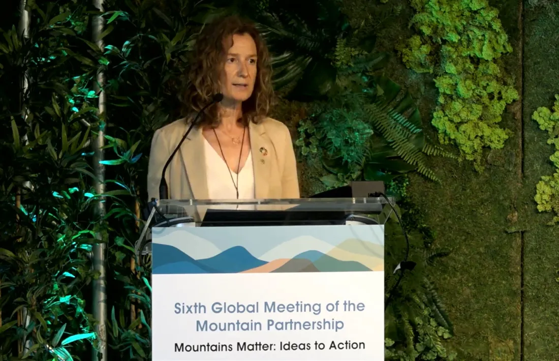 La ministra Sílvia Calvó durant la seva intervenció al Mountain Partnership, avui.