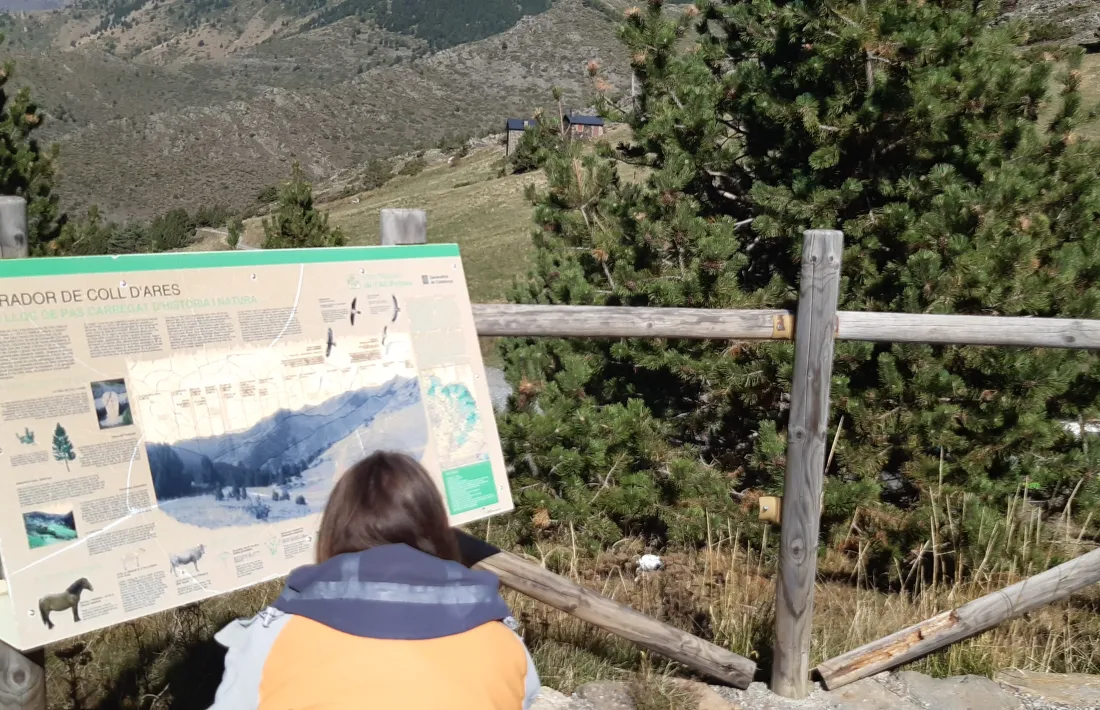 Els participants en la sortida s'han enfilat fins al Coll d'Ares. 