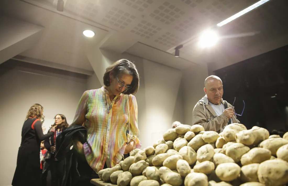 Somiar affatus consta de 250 trumfes de casa Gendret, cadascuna amb el lema de l'exposició gravat a làser.