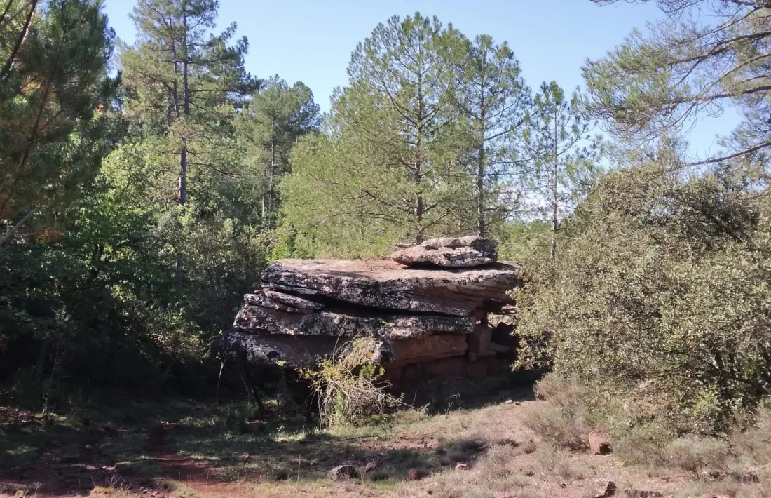 L'estructura, d’enormes proporcions, situada en terrenys de cal Marroi. 