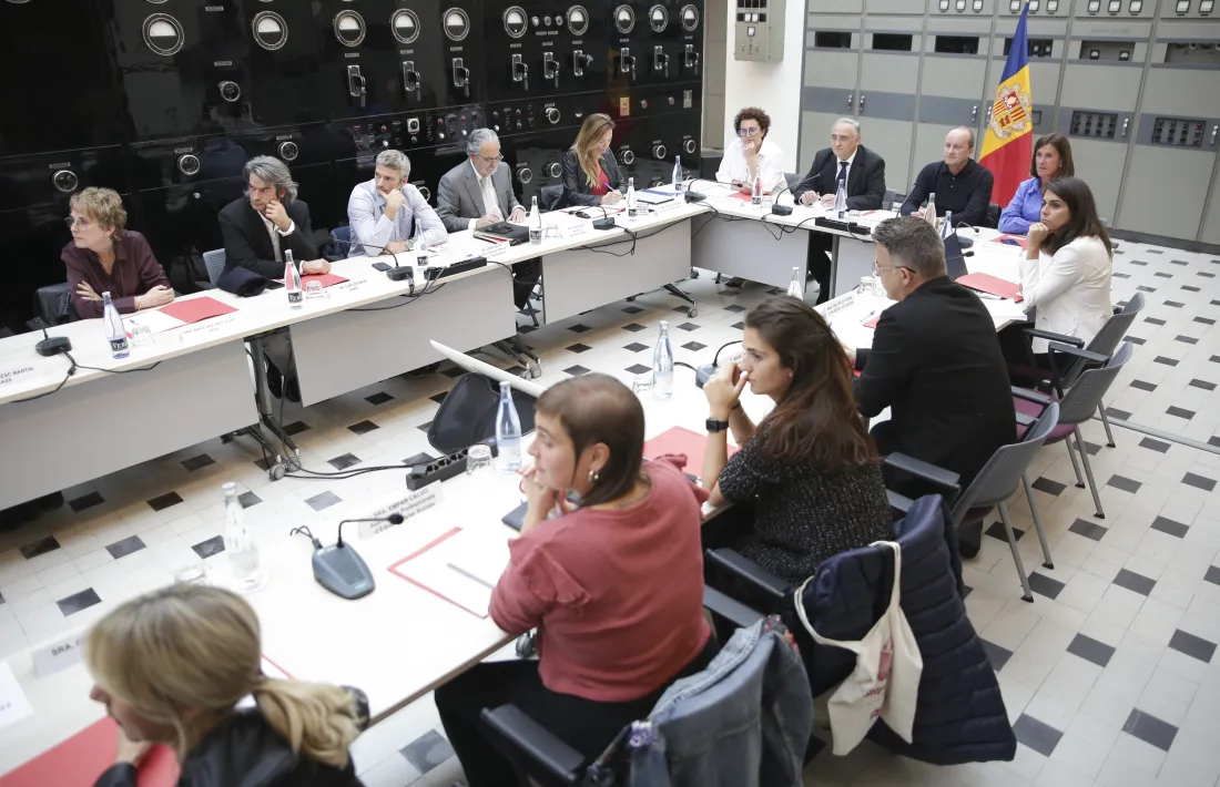 La Taula nacional de salut mental i addiccions s'ha celebrat a Ràdio Andorra.