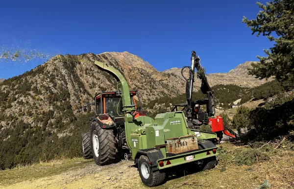 treballs_silvicoles_massana