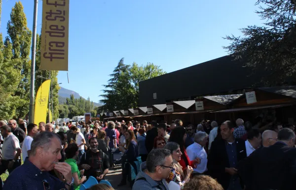 p._10_2_ambient_fira_2022