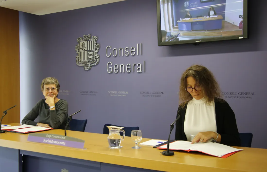 Susanna Vela i Judith Salazar han presentat les esmenes al text de professions titulades.