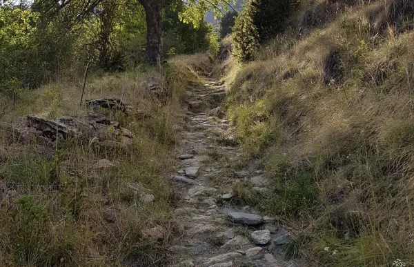 p._14_cami_vell_de_civis_a_farrera_per_coll_dares