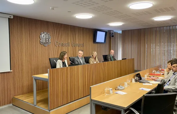 p._07_vilarrubla_-_consell_general