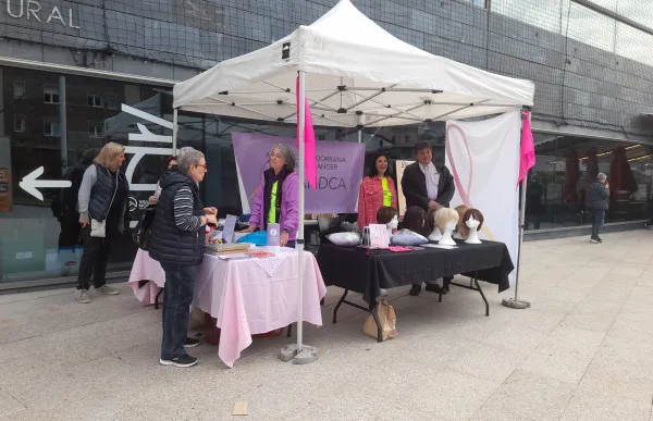 p._10_1._saravia_-_mpa