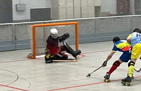 p._36_andorra_hoquei_club